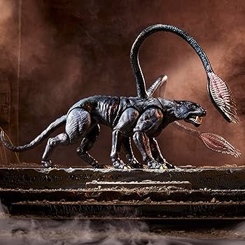 ［ダンジョン&ドラゴンズ］　ゴールデン・アーカイブ　ザナサー Amazon | ダンジョンズ&ドラゴンズ ゴールデン・アーカイブ